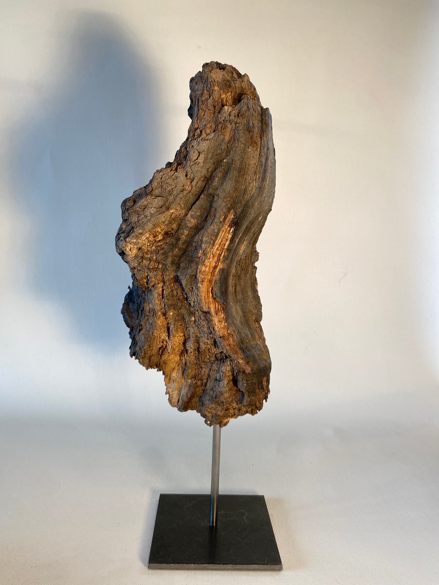 SCULPTURES EN BOIS FLOTTE GRANDE