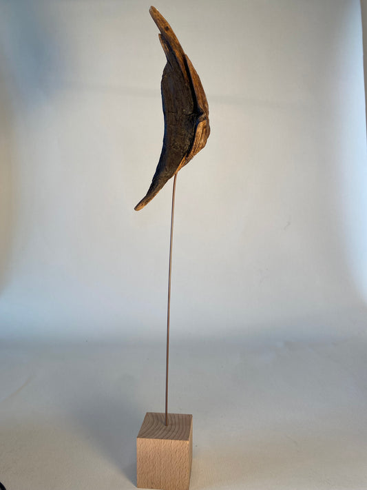 SCULPTURE EN BOIS FLOTTE  PETITE