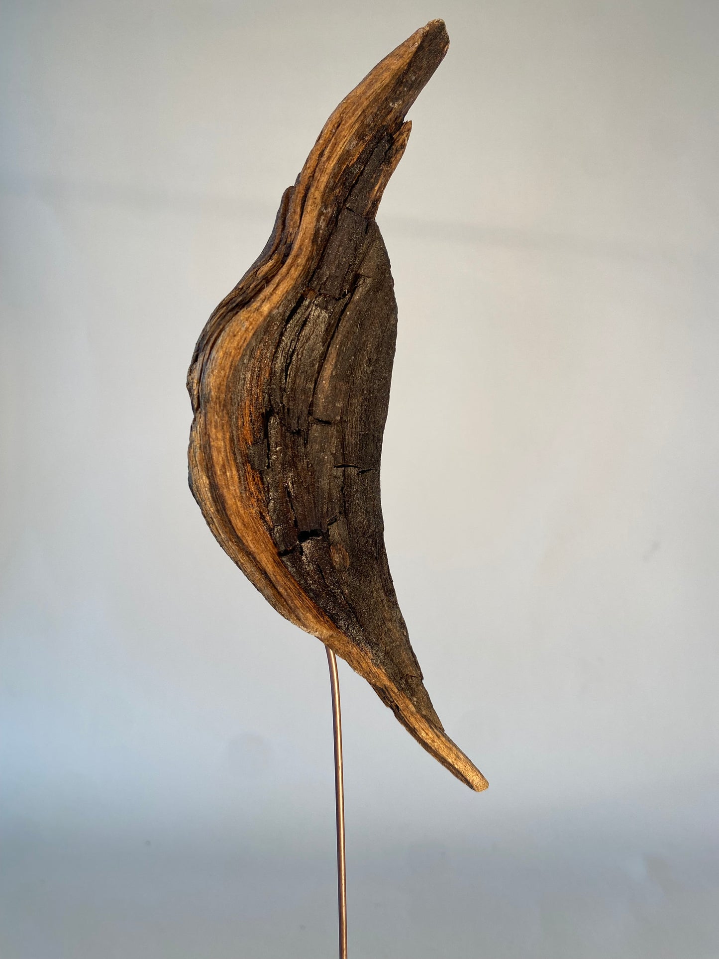 SCULPTURE EN BOIS FLOTTE  PETITE